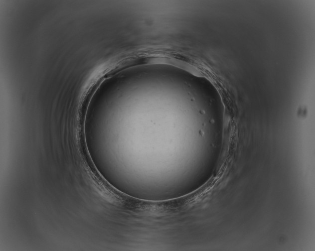X0000091680293200708231423