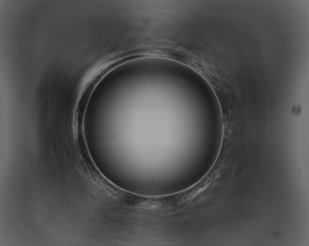 X0000091680294200708231423