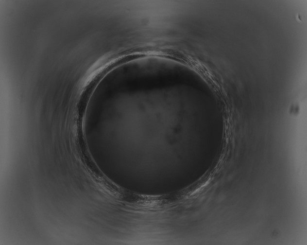 X0000091680295200708231423