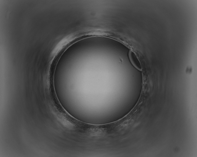 X0000091680296200708231423