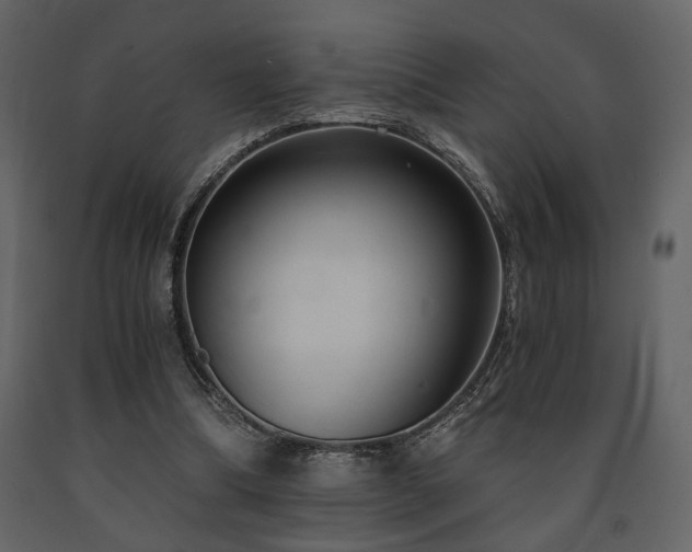 X0000091680298200708231423