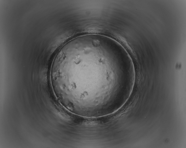 X0000091680299200708231423