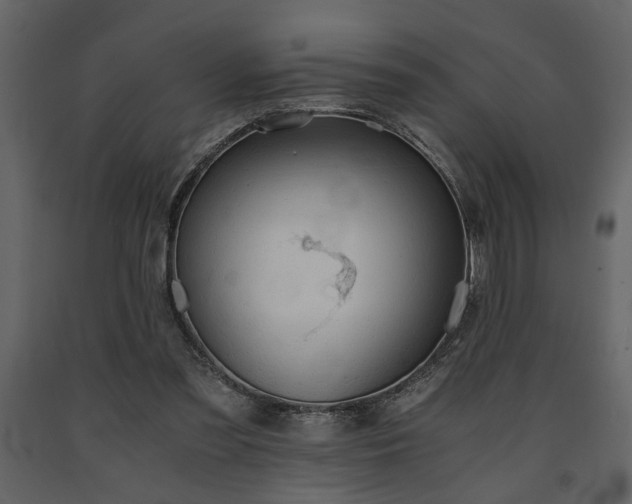 X0000091680301200708231423