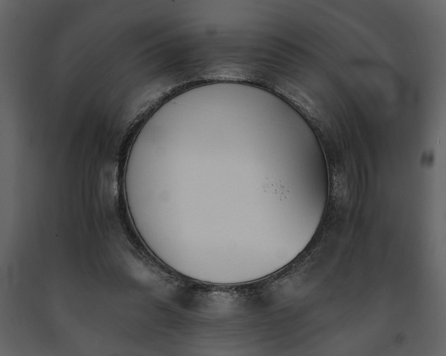 X0000091680302200708231423