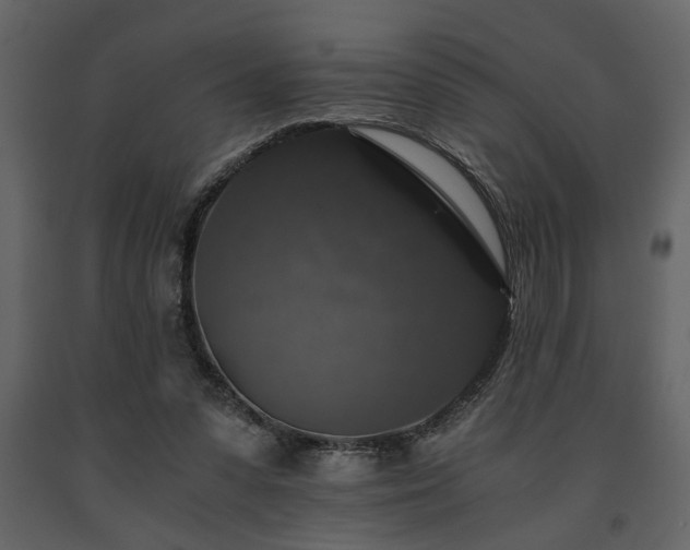 X0000091680303200708231423