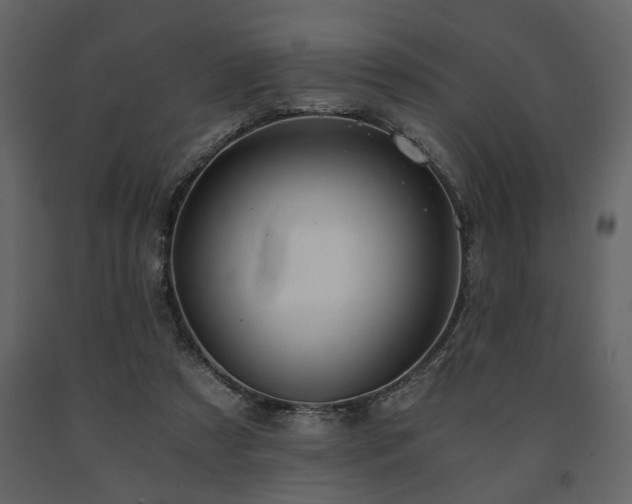 X0000091680305200708231423
