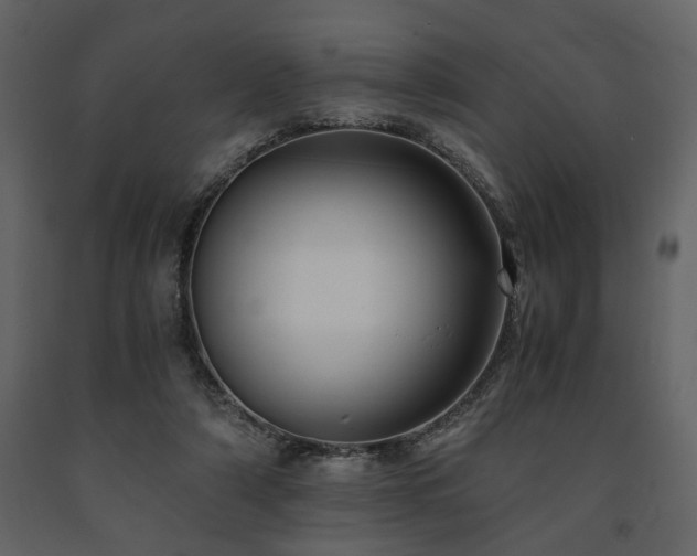 X0000091680306200708231423