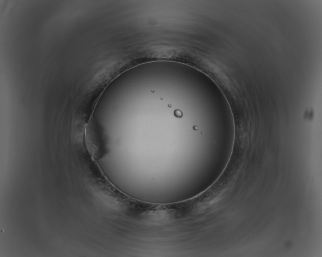X0000091680307200708231423