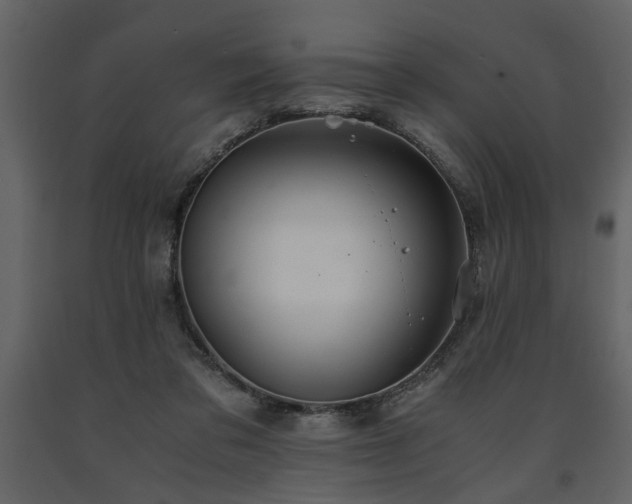 X0000091680309200708231423