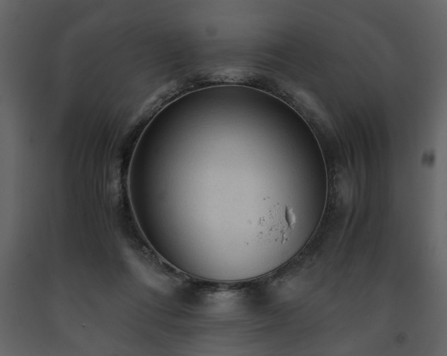 X0000091680312200708231423