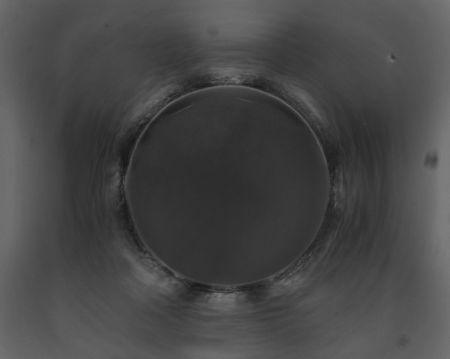 X0000091680314200708231423