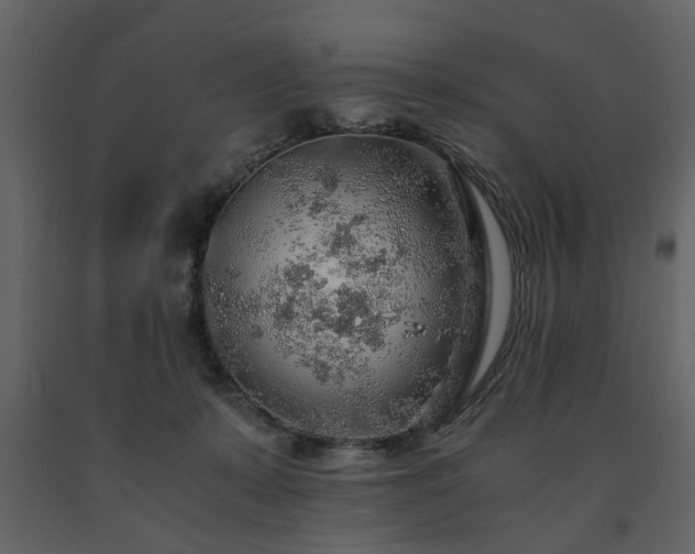 X0000091680319200708231423