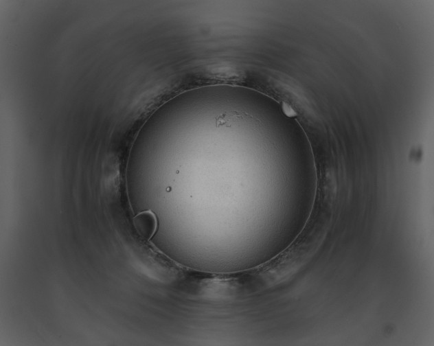 X0000091680320200708231423