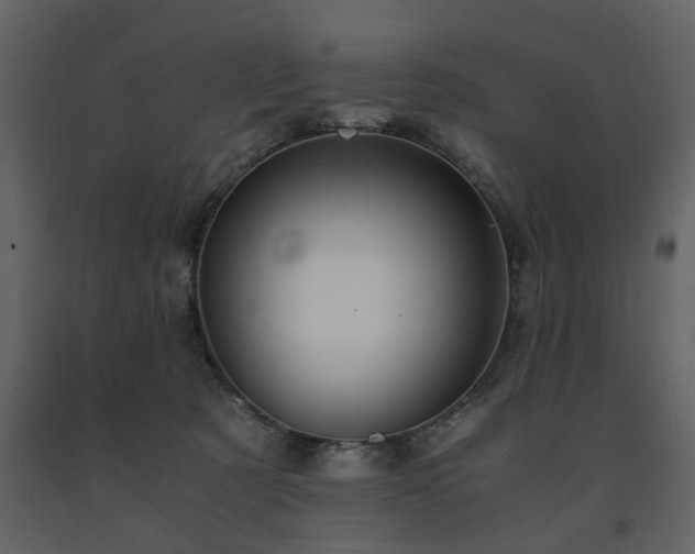 X0000091680321200708231423