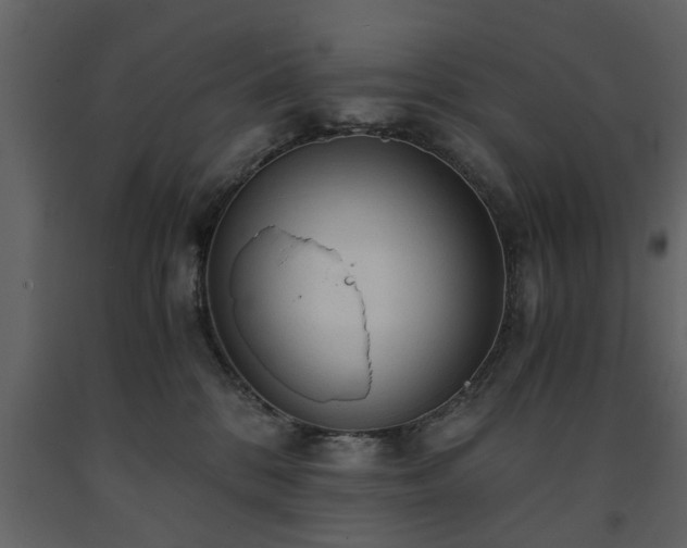 X0000091680328200708231423