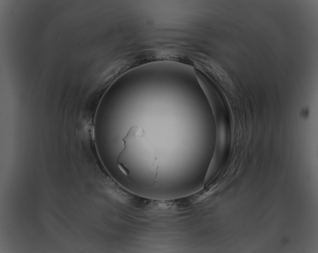 X0000091680329200708231423