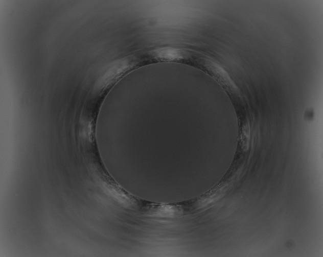 X0000091680330200708231423