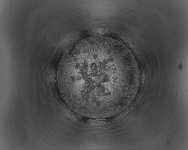 X0000091680331200708231423