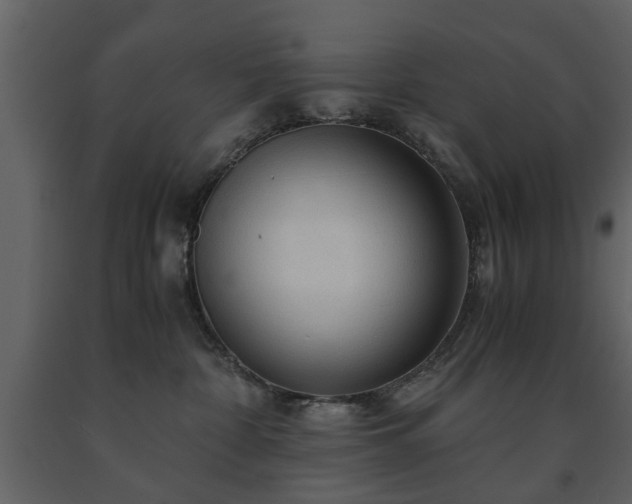 X0000091680332200708231423