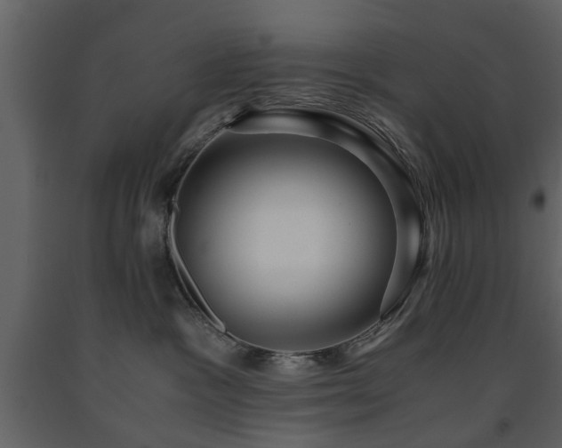 X0000091680333200708231423
