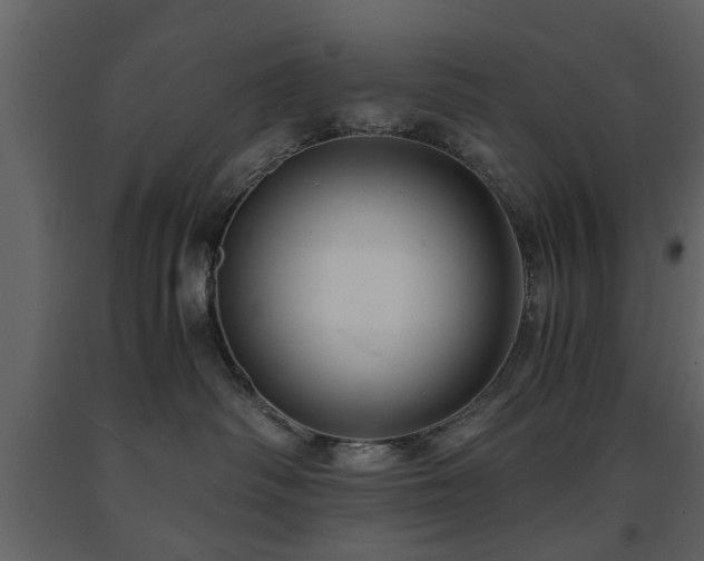 X0000091680334200708231423