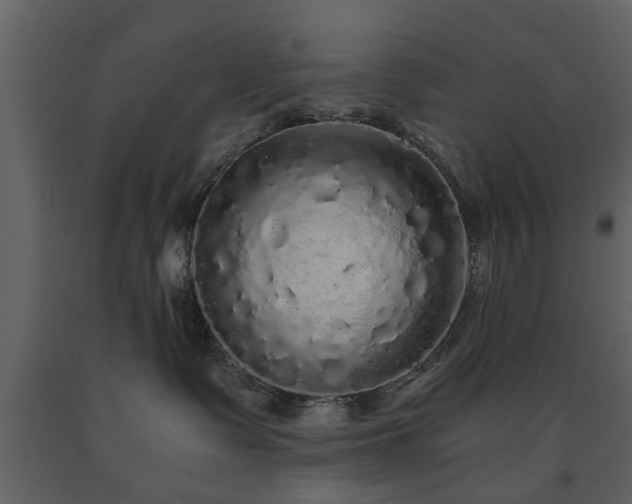 X0000091680335200708231423