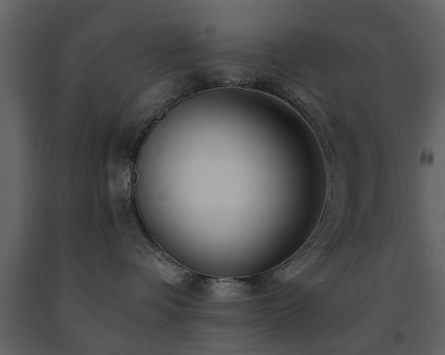 X0000091680336200708231423