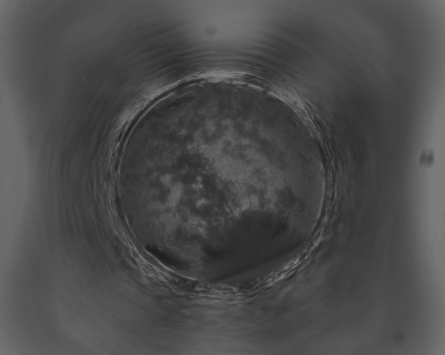 X0000091680337200708231422