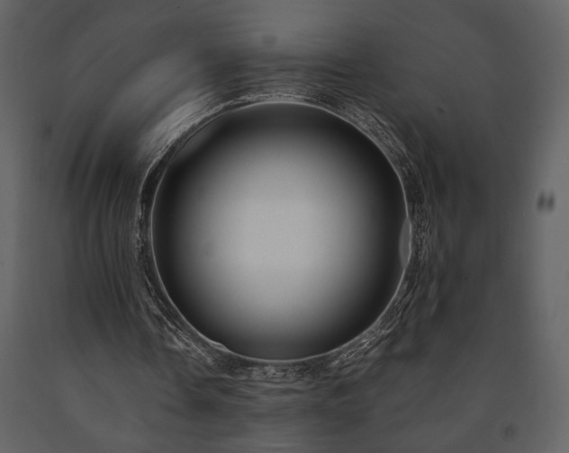 X0000091680338200708231422