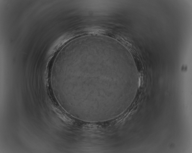 X0000091680339200708231422