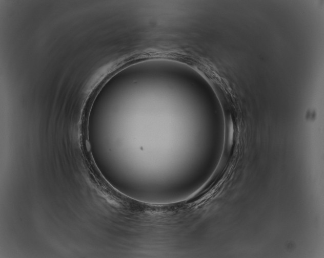 X0000091680340200708231422