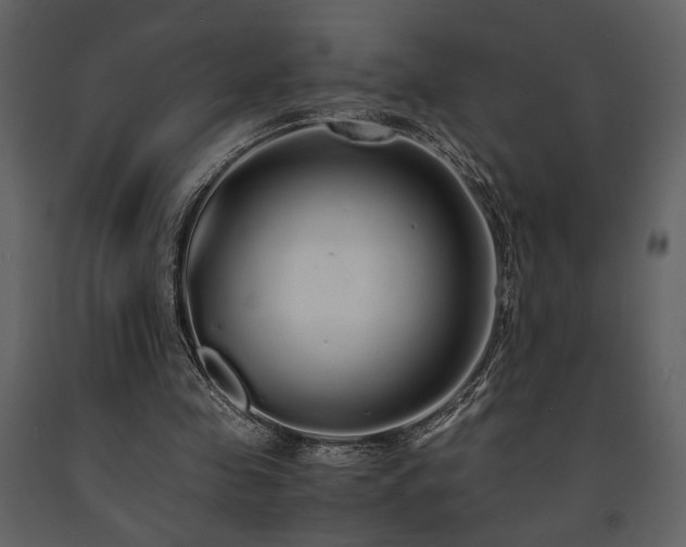 X0000091680341200708231422