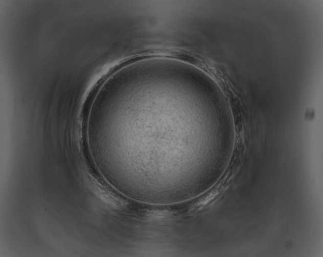 X0000091680342200708231422