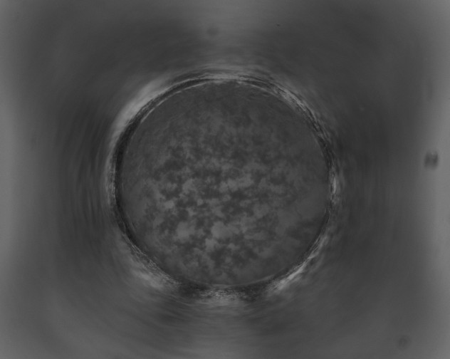 X0000091680343200708231422