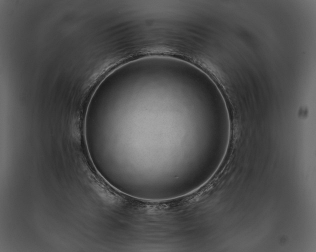 X0000091680345200708231422