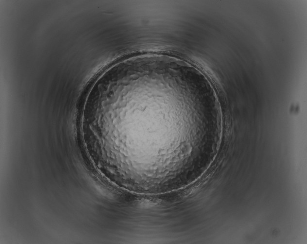 X0000091680346200708231422