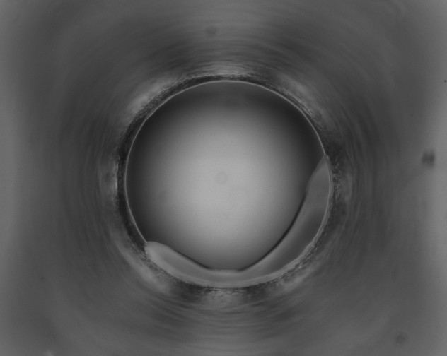 X0000091680350200708231422