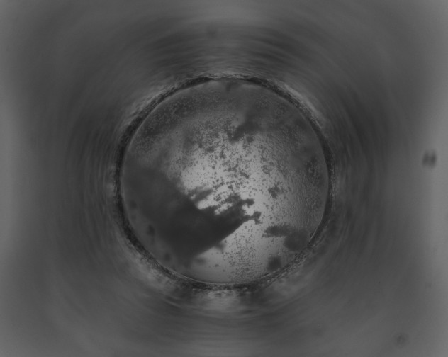 X0000091680353200708231422