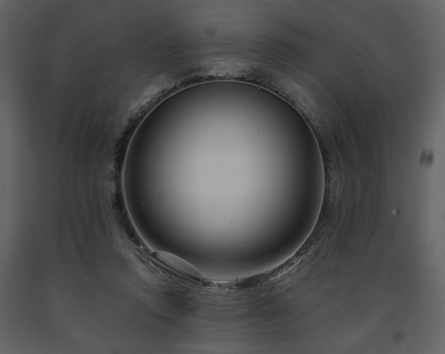 X0000091680354200708231422