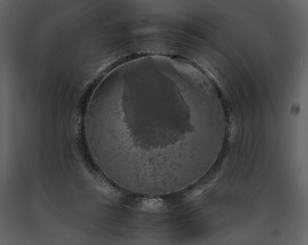 X0000091680355200708231422