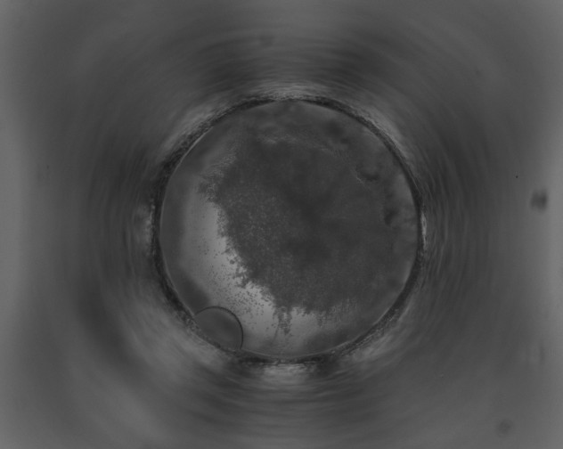 X0000091680357200708231422
