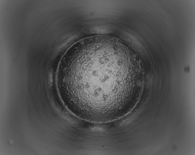 X0000091680358200708231422