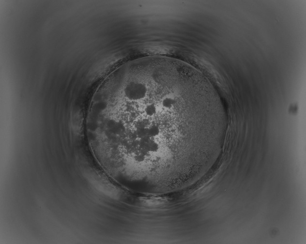 X0000091680359200708231422