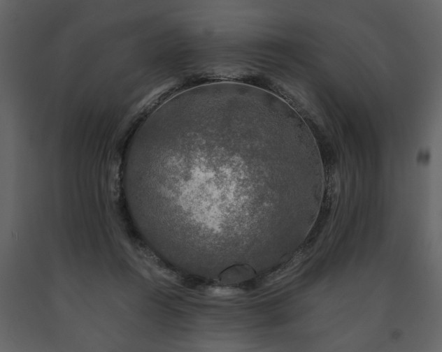 X0000091680360200708231422