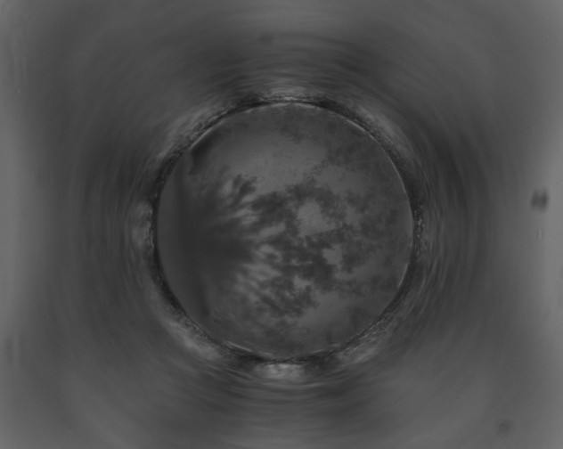 X0000091680361200708231422