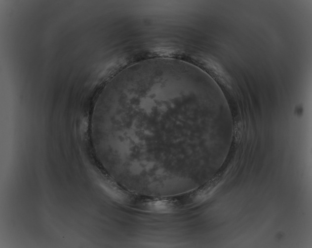 X0000091680365200708231422