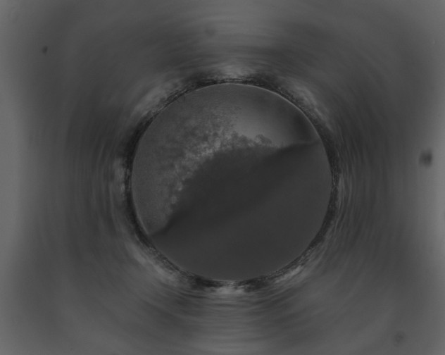 X0000091680366200708231422