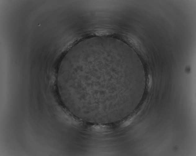 X0000091680367200708231422