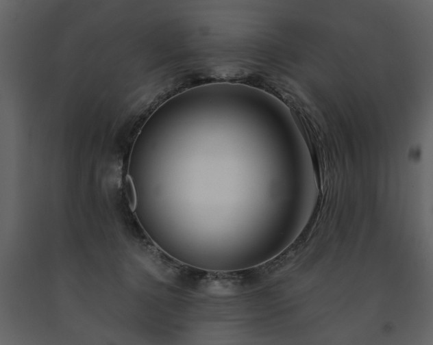 X0000091680368200708231422