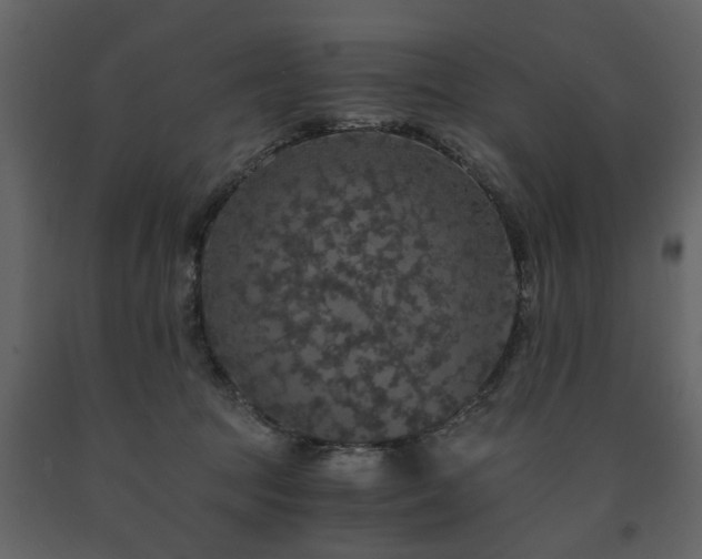 X0000091680369200708231422